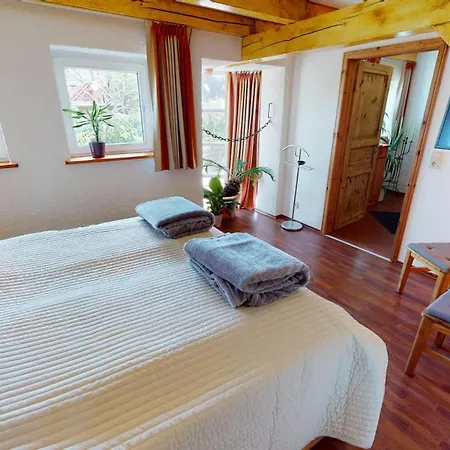 Mühle W01 Apartment Lutterbek